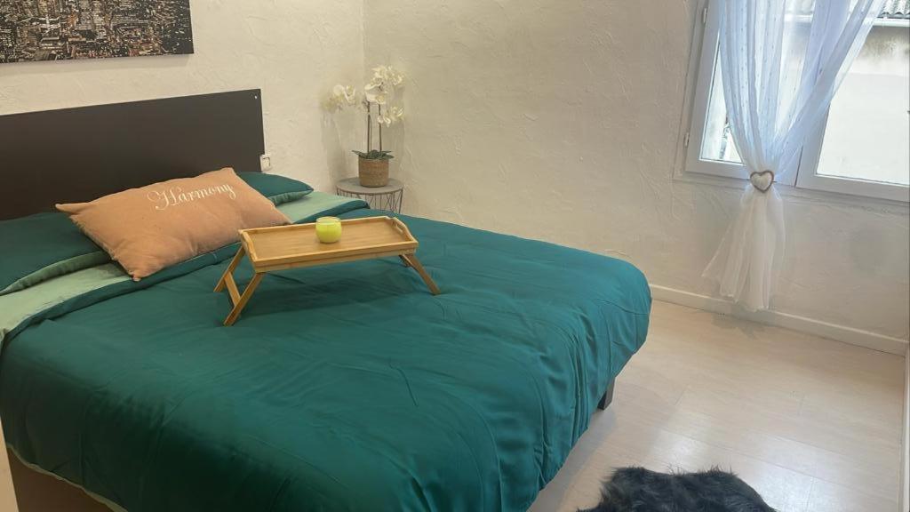 Appartement T3 La Madrague/ Les Calanques Marseille Kültér fotó
